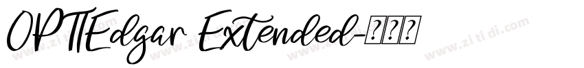 OPTIEdgar Extended字体转换